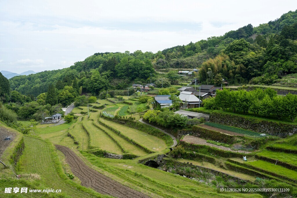 山间梯田美景