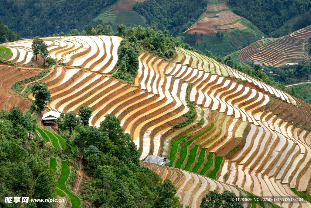 壮观梯田美景