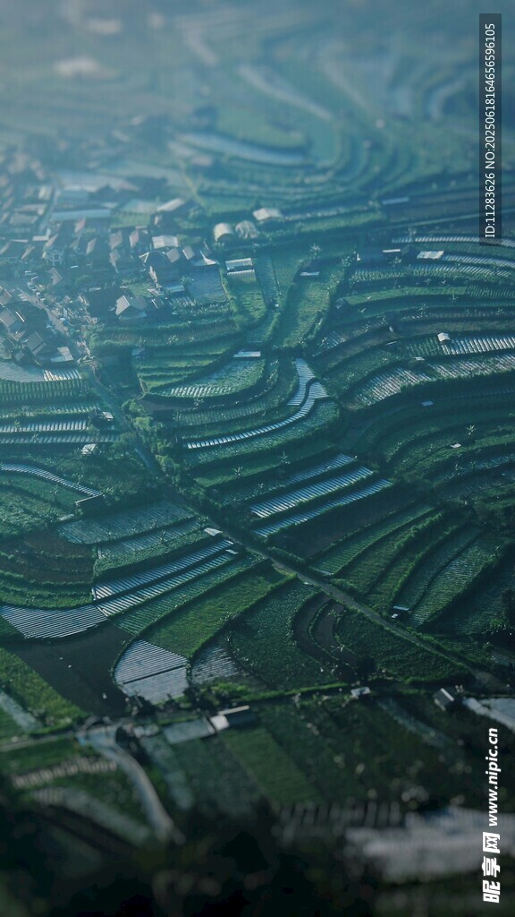 俯瞰壮观梯田景观