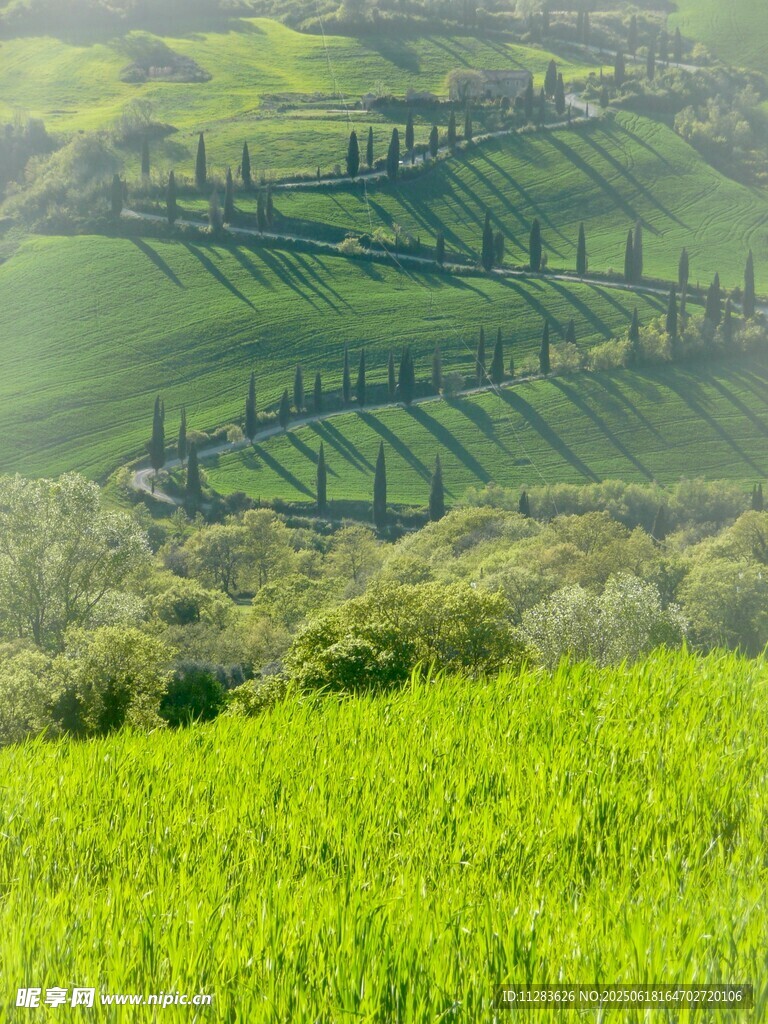 田园绿野风光美景