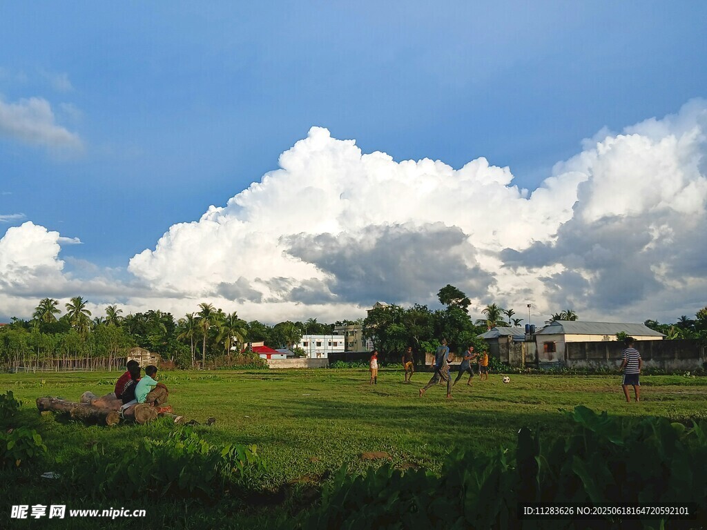 田园风光中的悠闲场景