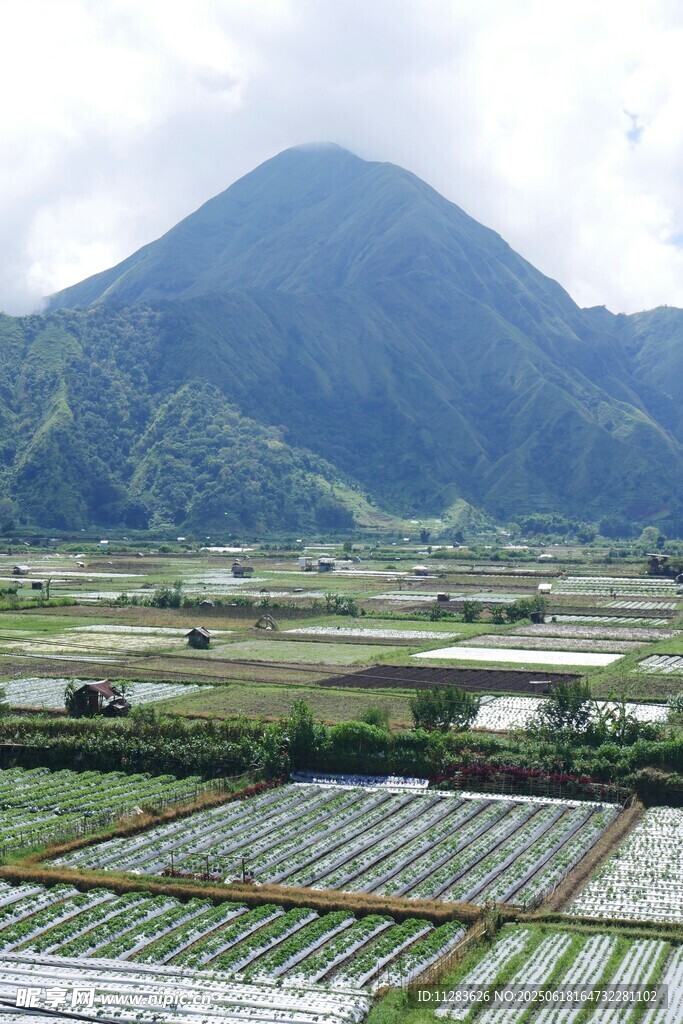 田园山色美景