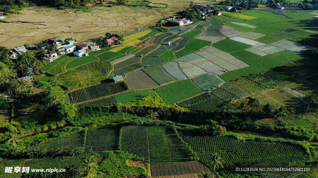 俯瞰田园风光美景