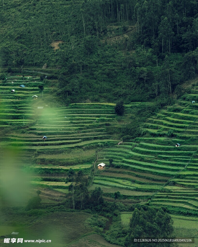 山间梯田美景