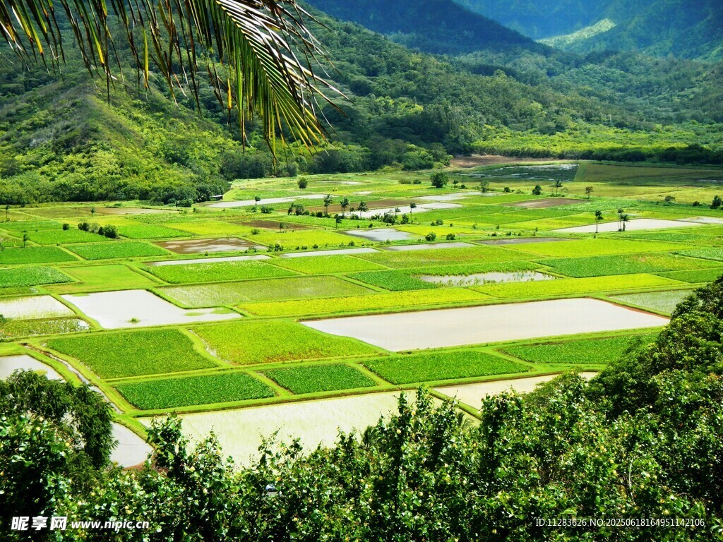 山间绿野田园风光美景