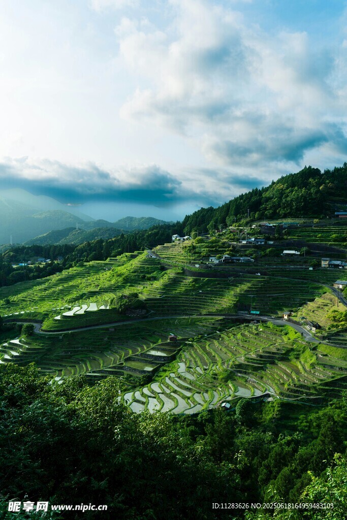 山间绿野风光