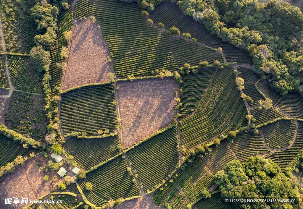 俯瞰田园风光美景