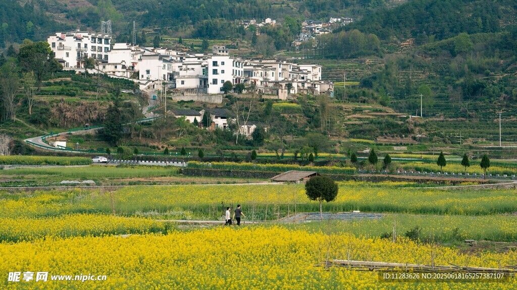 田园风光中的村落美景