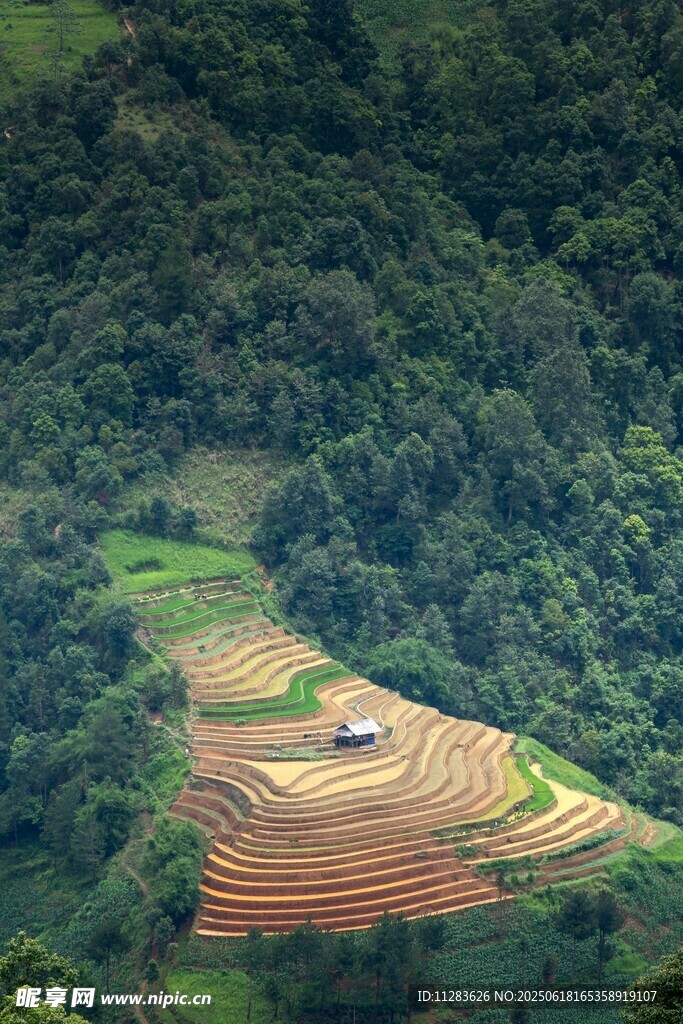 山间梯田美景