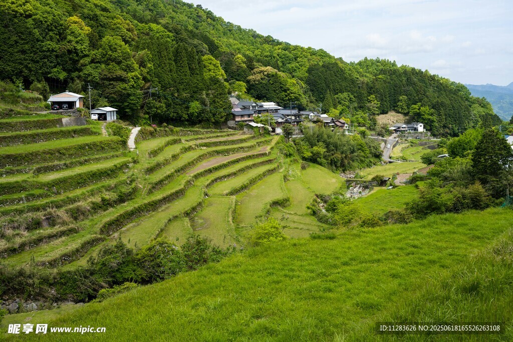 翠绿梯田中的宁静村落