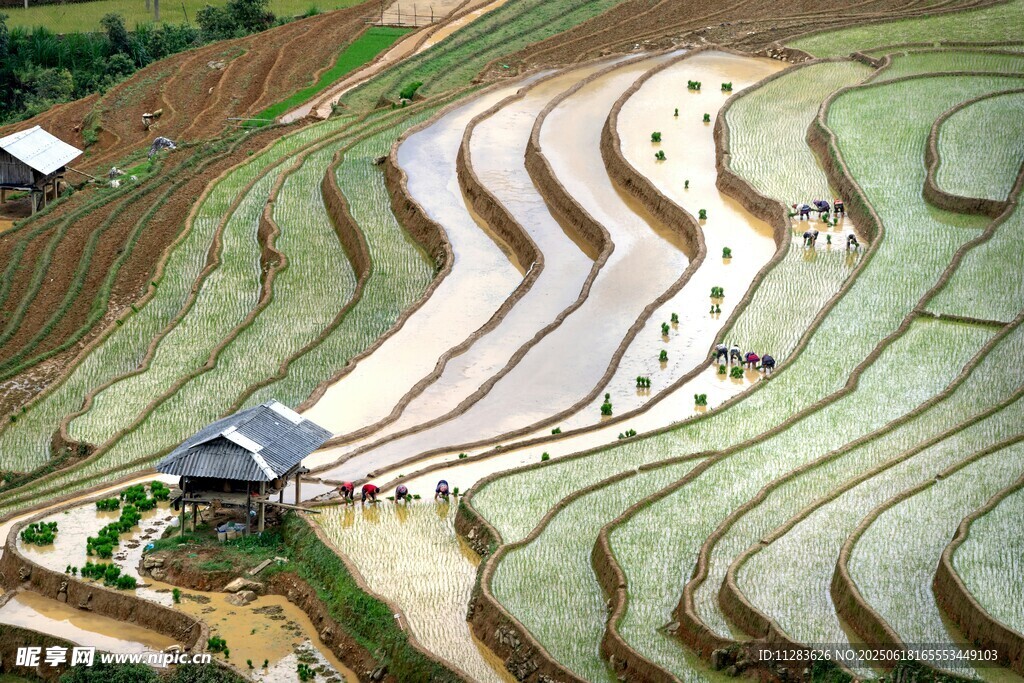 美丽梯田景观