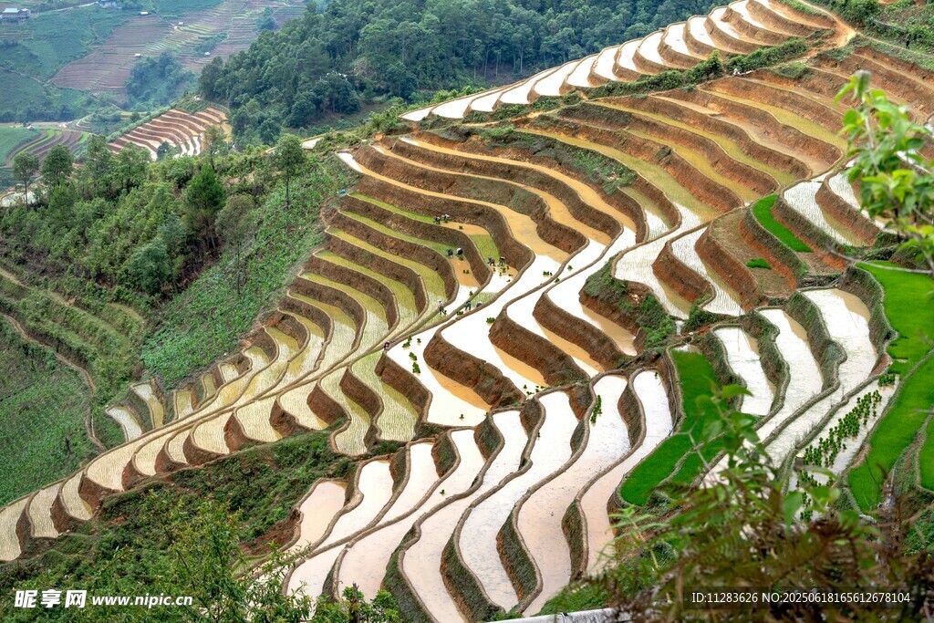 壮观梯田美景