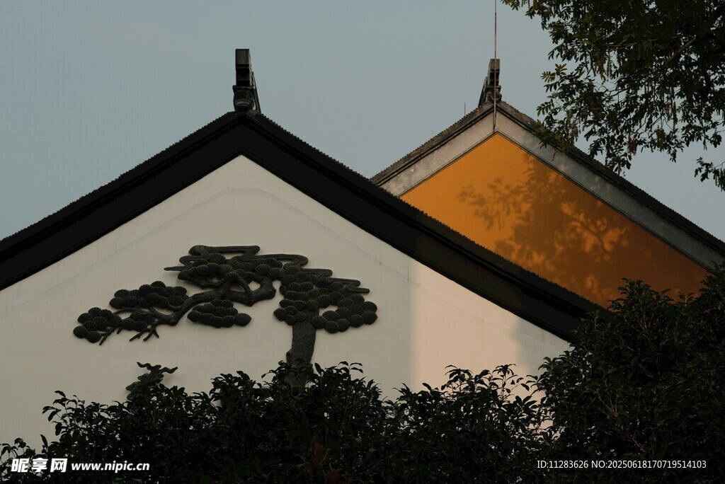 中式屋檐下的苍松景致