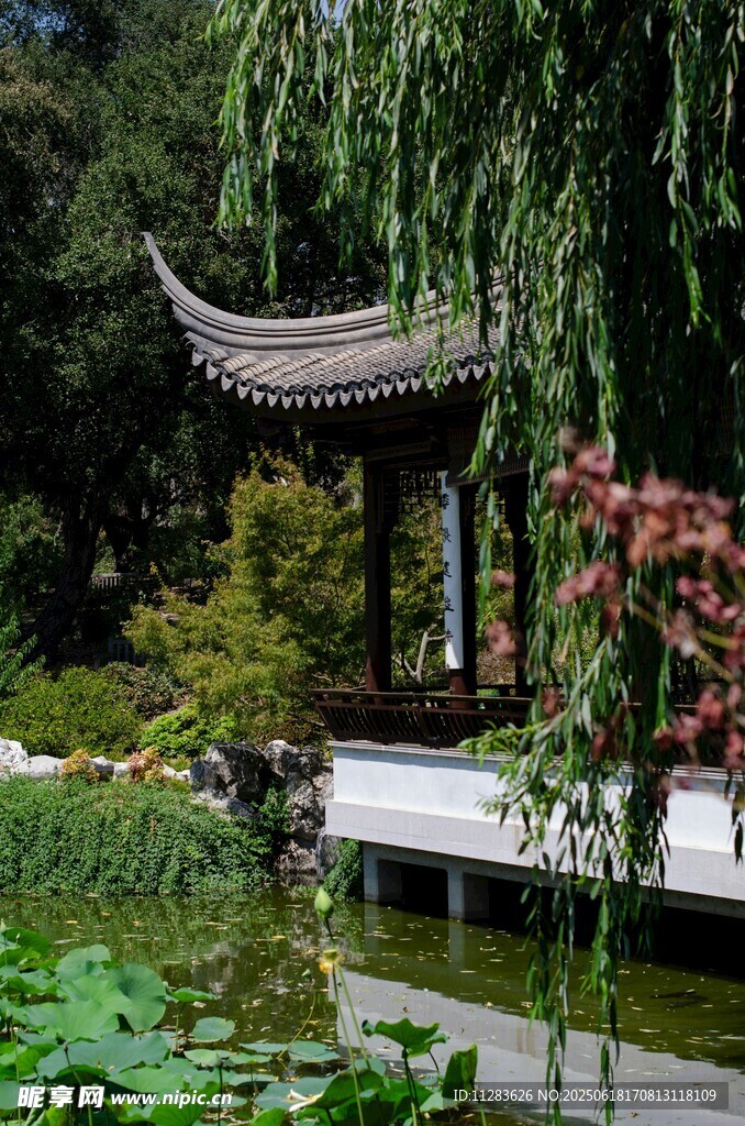 中式园林凉亭池塘美景
