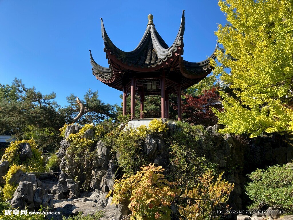 中式古亭掩映于繁茂绿植