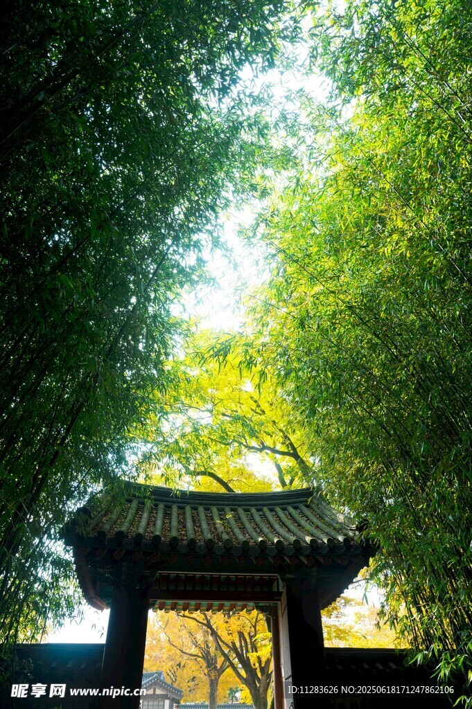 竹林中的中式门楼