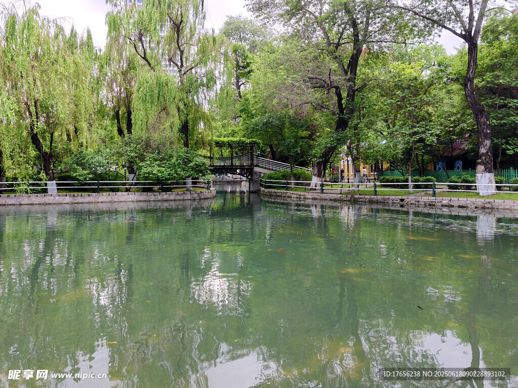 宁静湖畔绿树环绕美景