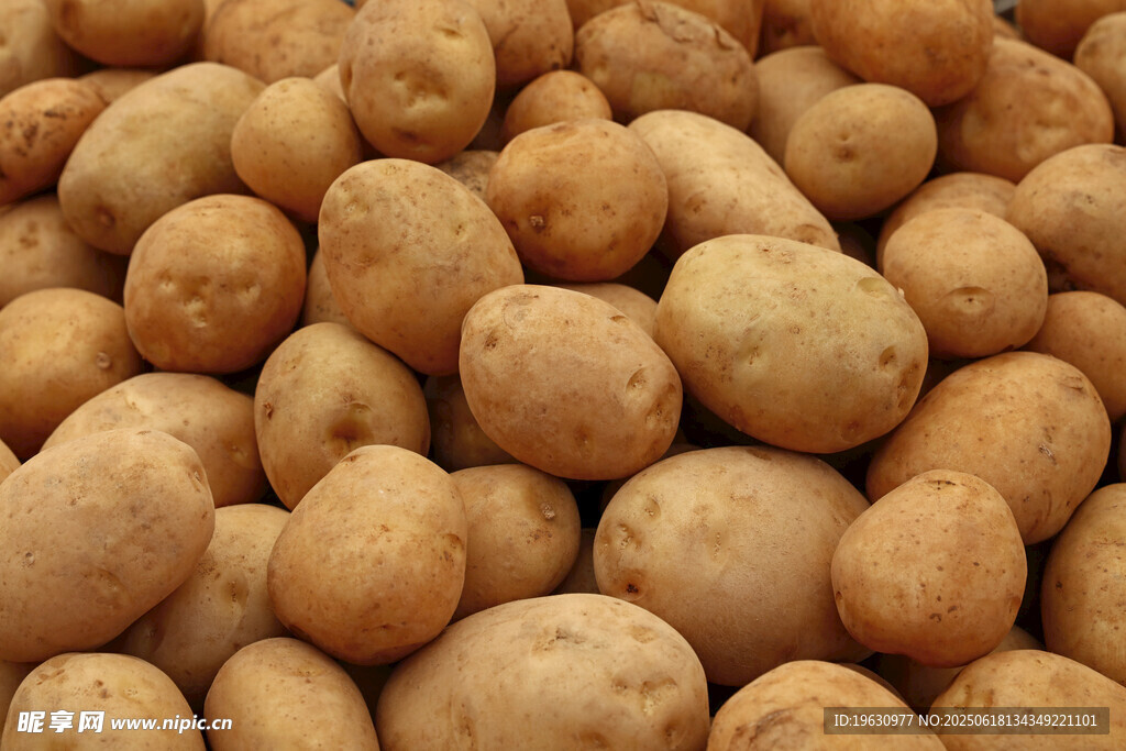 一堆新鲜土豆