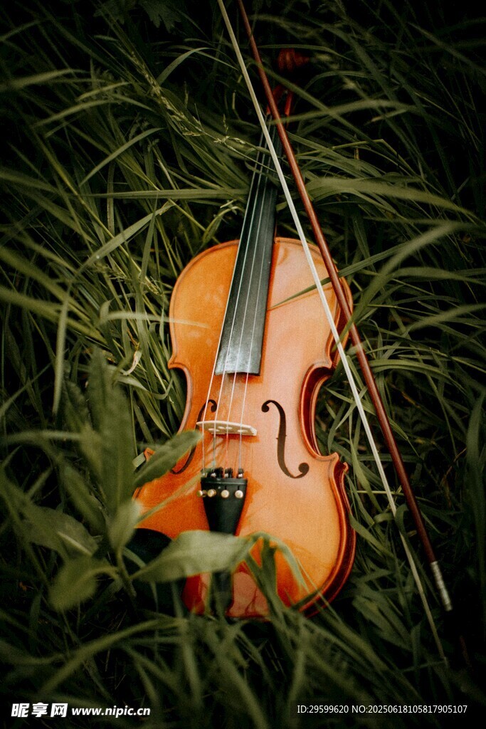 草地上的小提琴