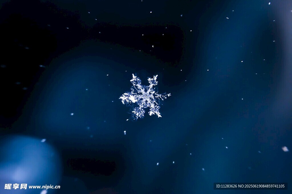 夜空中的晶莹雪花