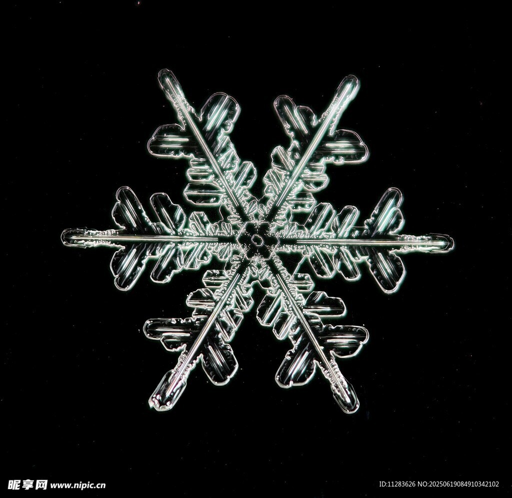精致雪花图案
