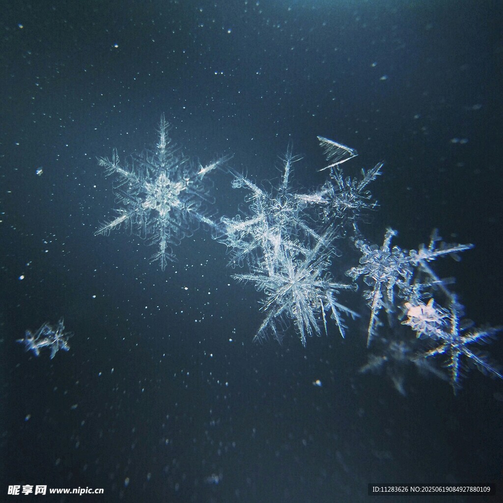 梦幻雪花在深色背景中飞舞