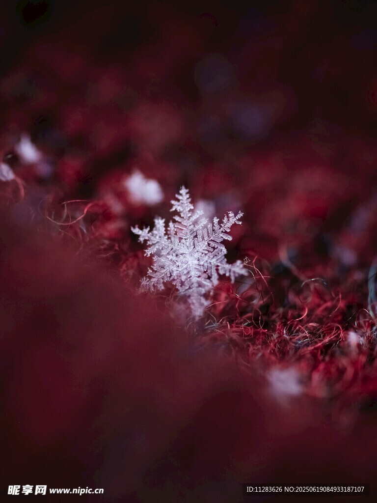 红底上的精致雪花