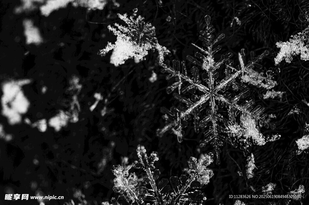 微距下的精美雪花特写