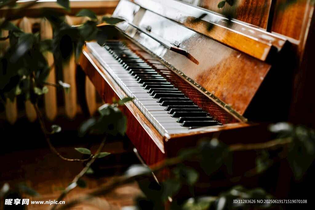 复古钢琴置于绿植环绕间
