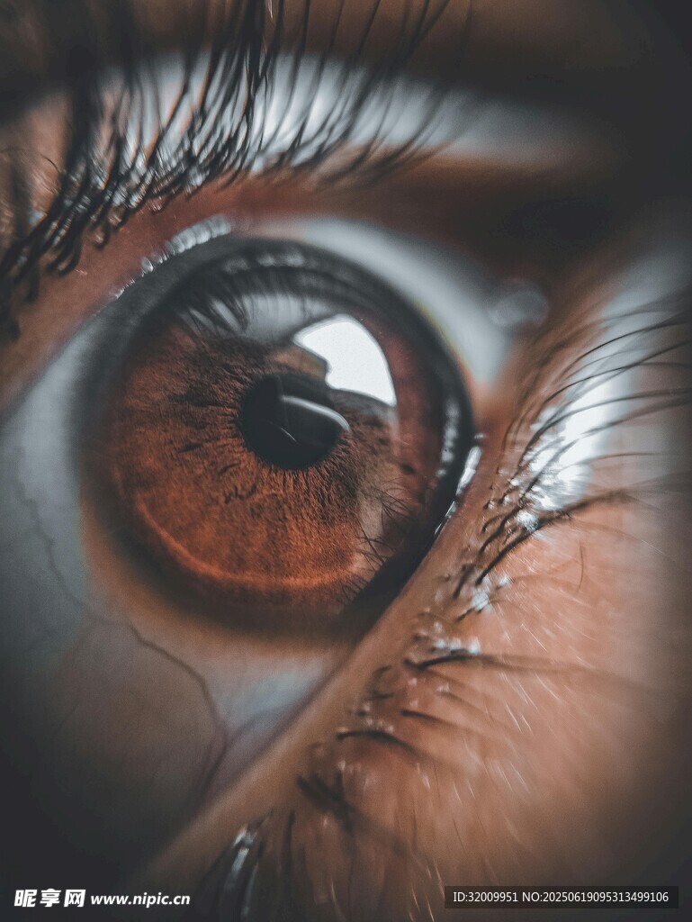 深邃迷人的棕色眼眸