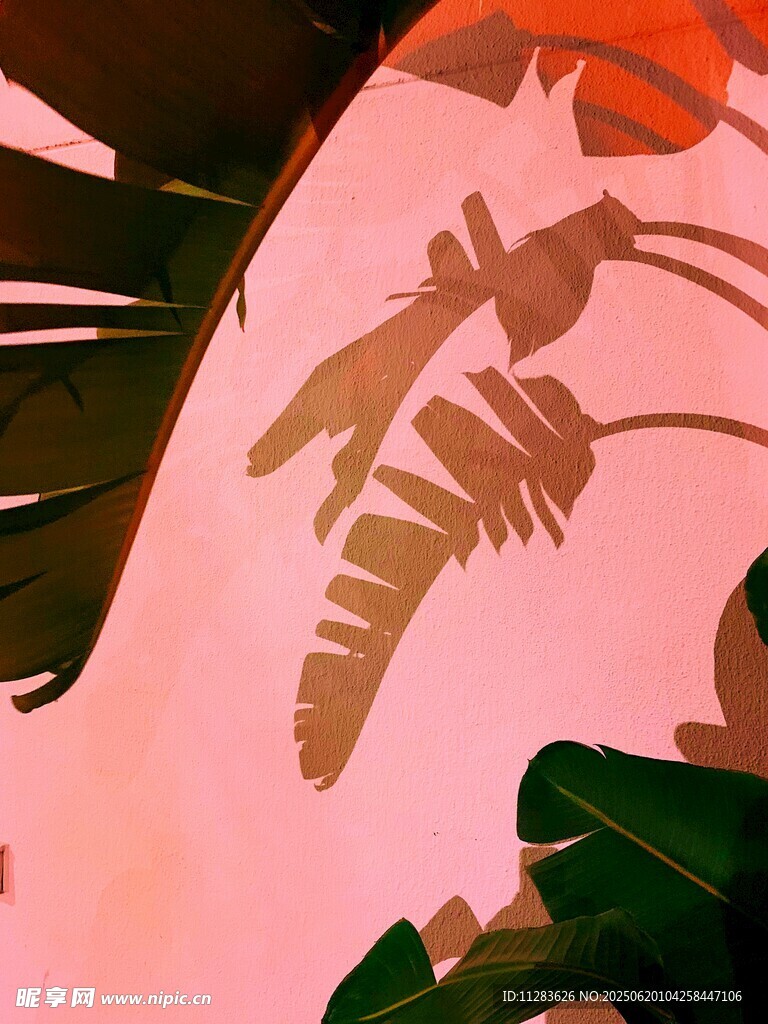 芭蕉叶