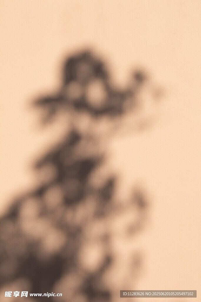 模糊树影