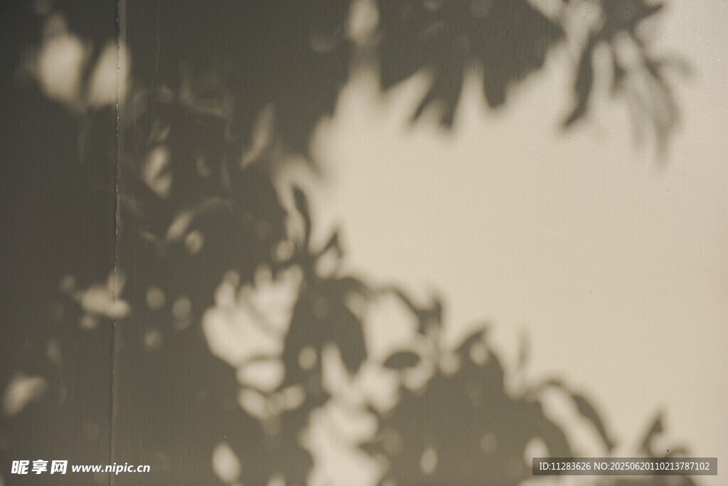 树叶剪影