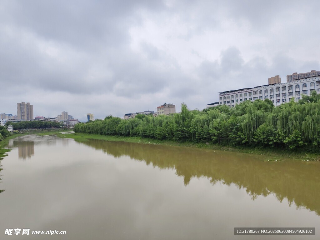 河畔绿树映河水