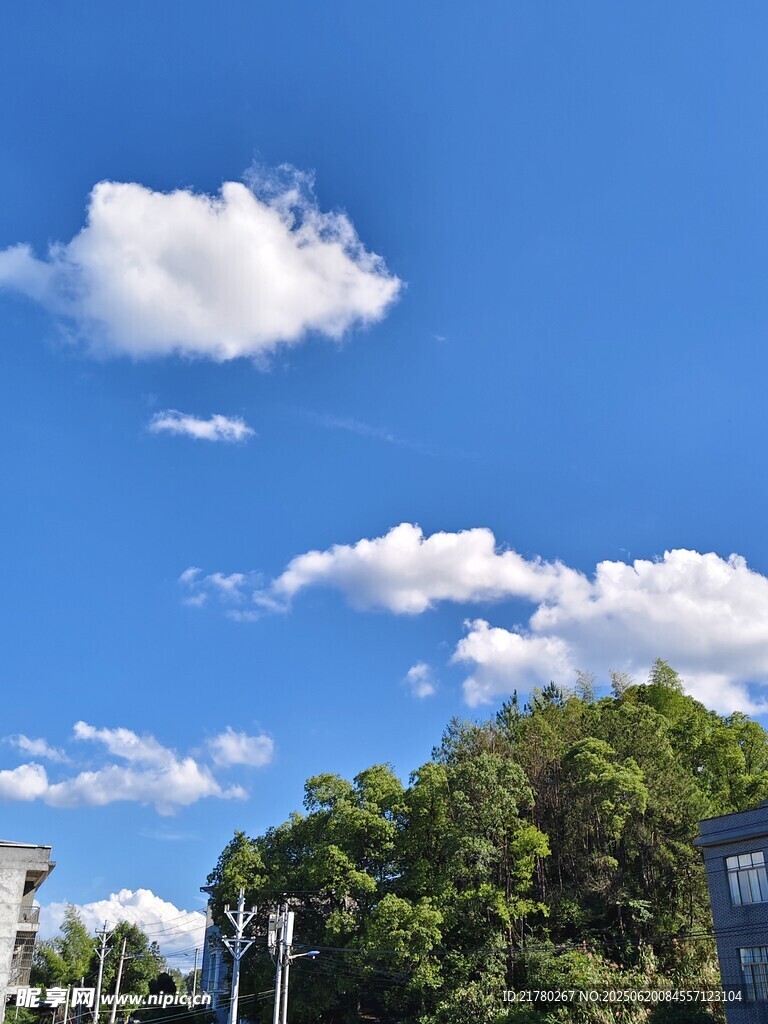 蓝天绿树风景图