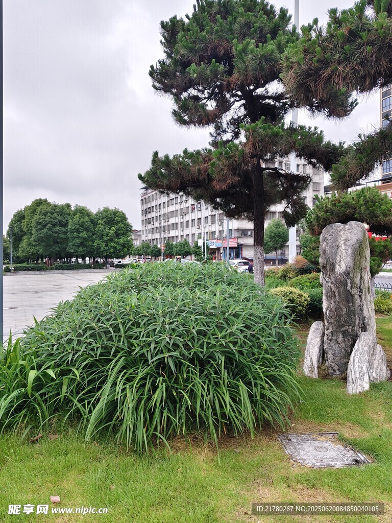 园林绿植景观
