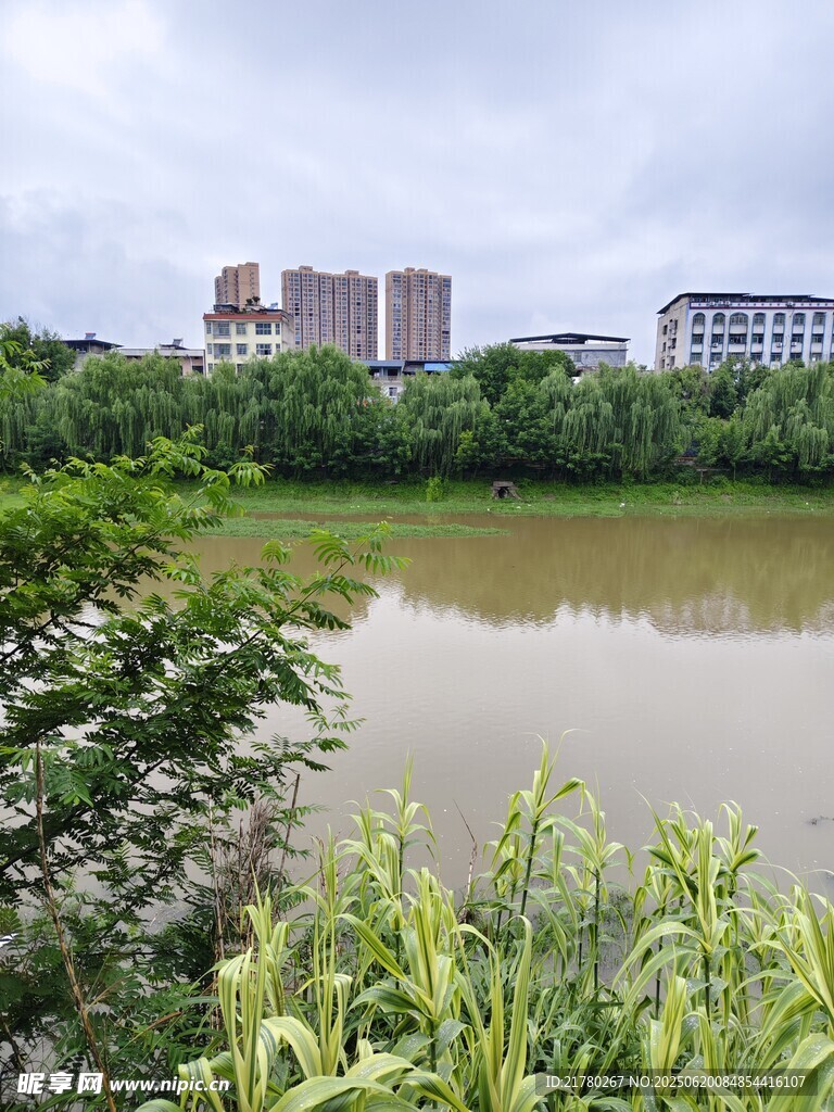 城郊河畔风光