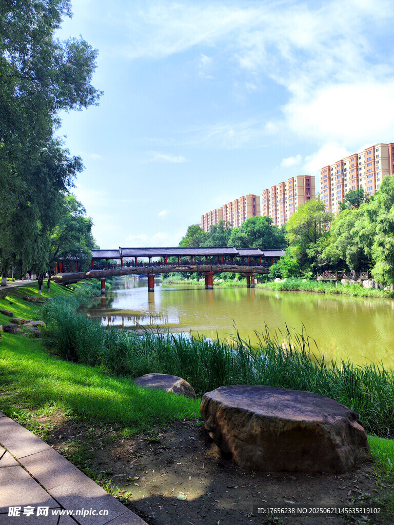 河畔公园美景