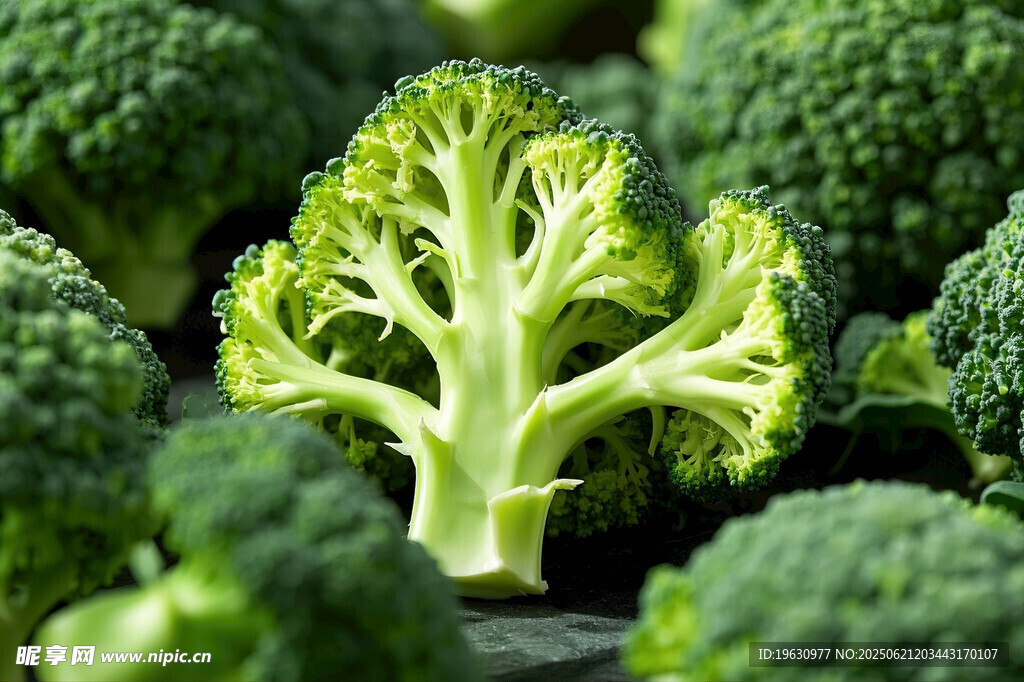 新鲜西兰花特写