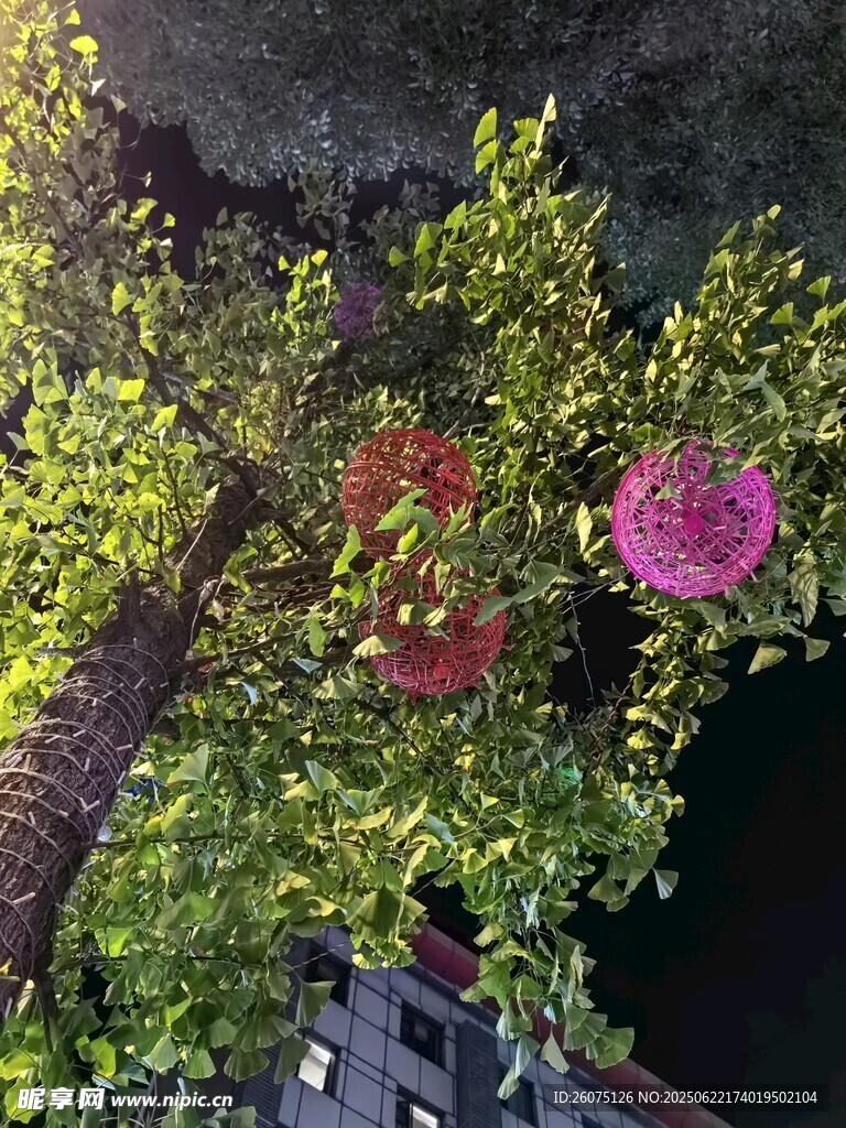 夜幕下繁花满树的景致