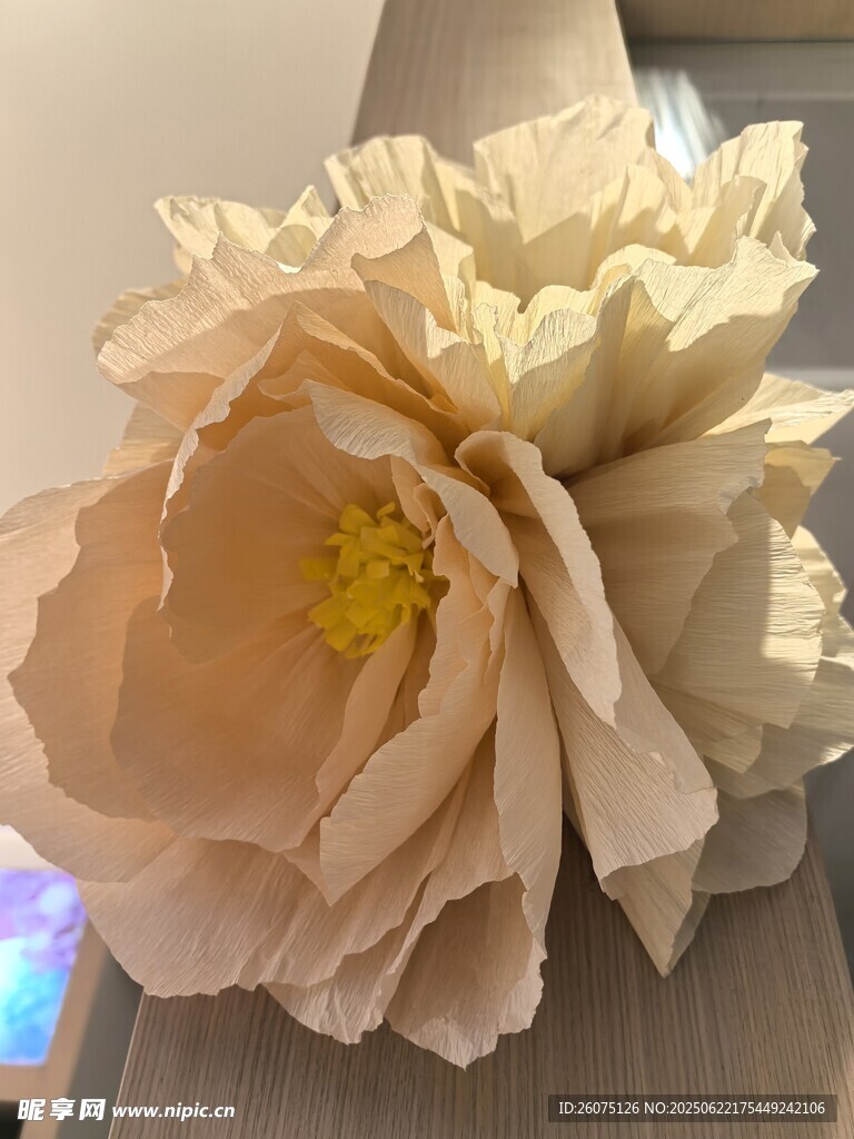 手工纸艺花朵特写