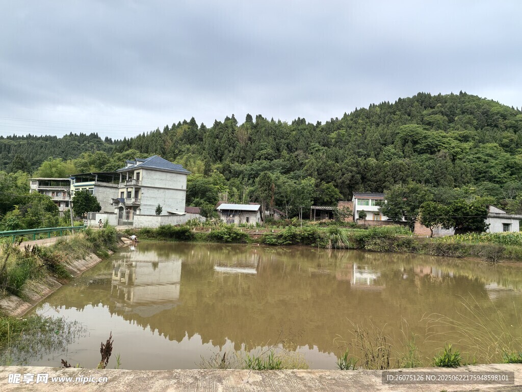 乡村水边景致
