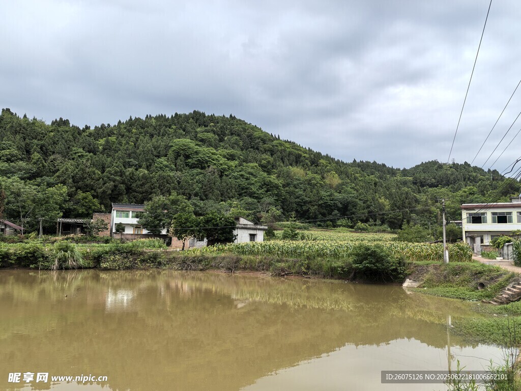 乡村水边景致