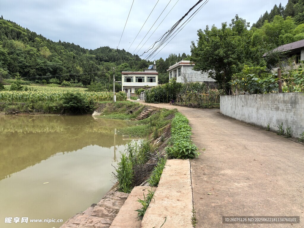 乡村小道旁的宁静小河