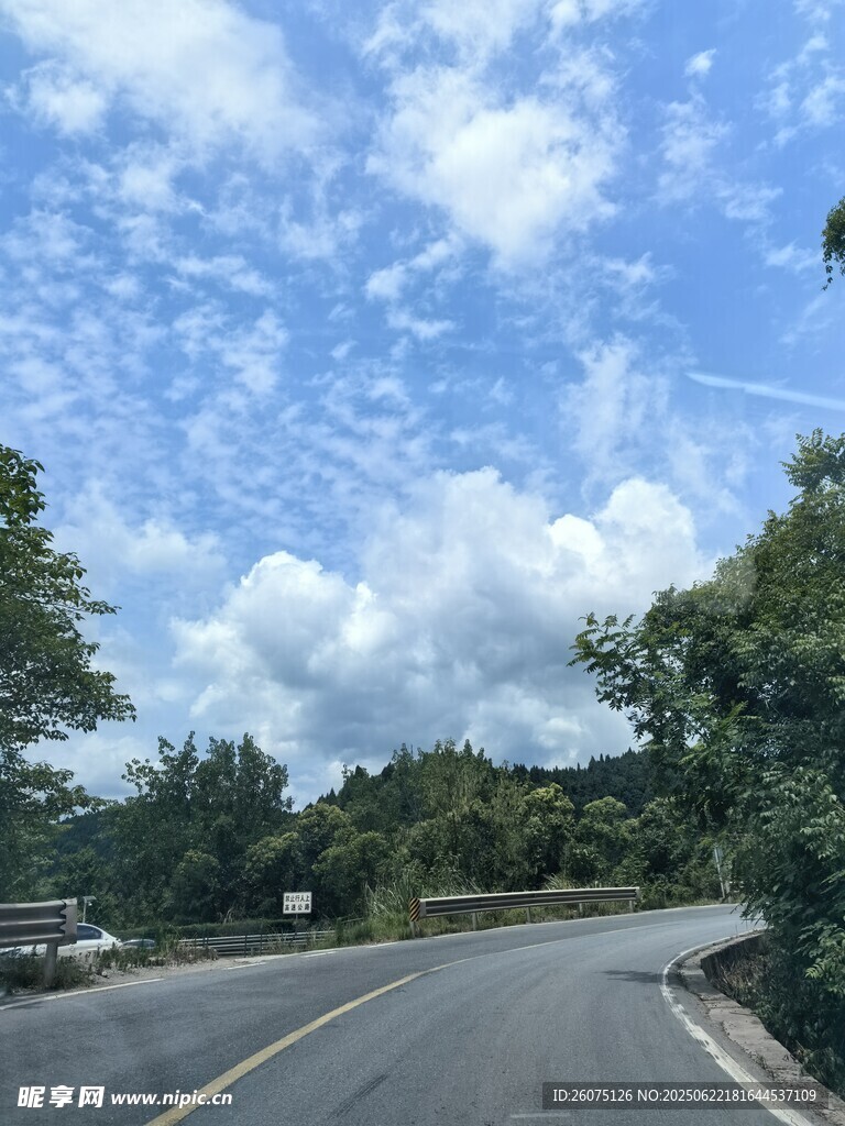 蜿蜒公路旁的葱郁景致
