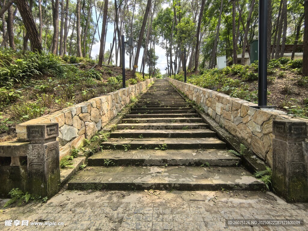 林间石阶小道