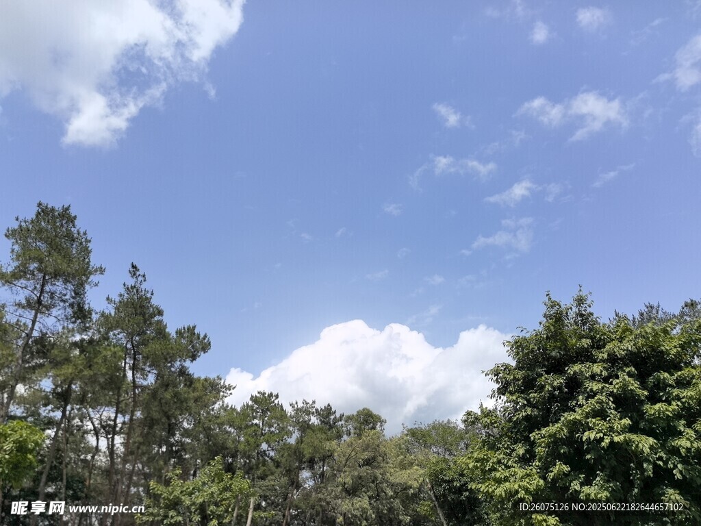 蓝天绿树自然风景图