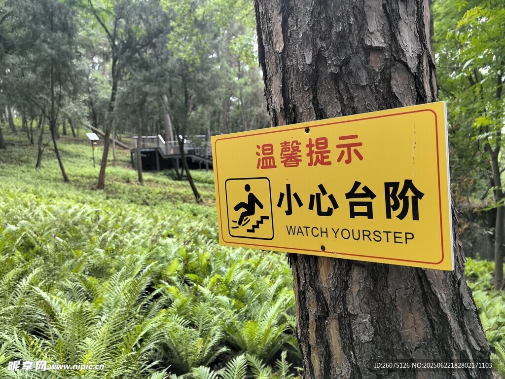 树林中的小心台阶提示牌