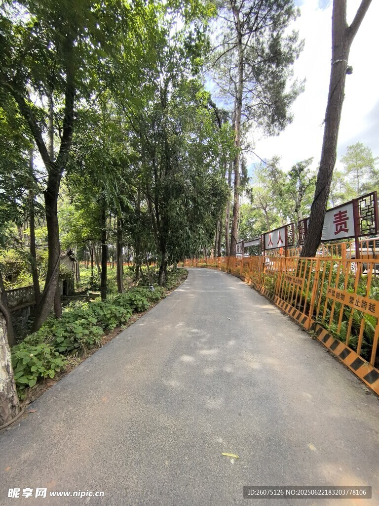 林间幽静小路