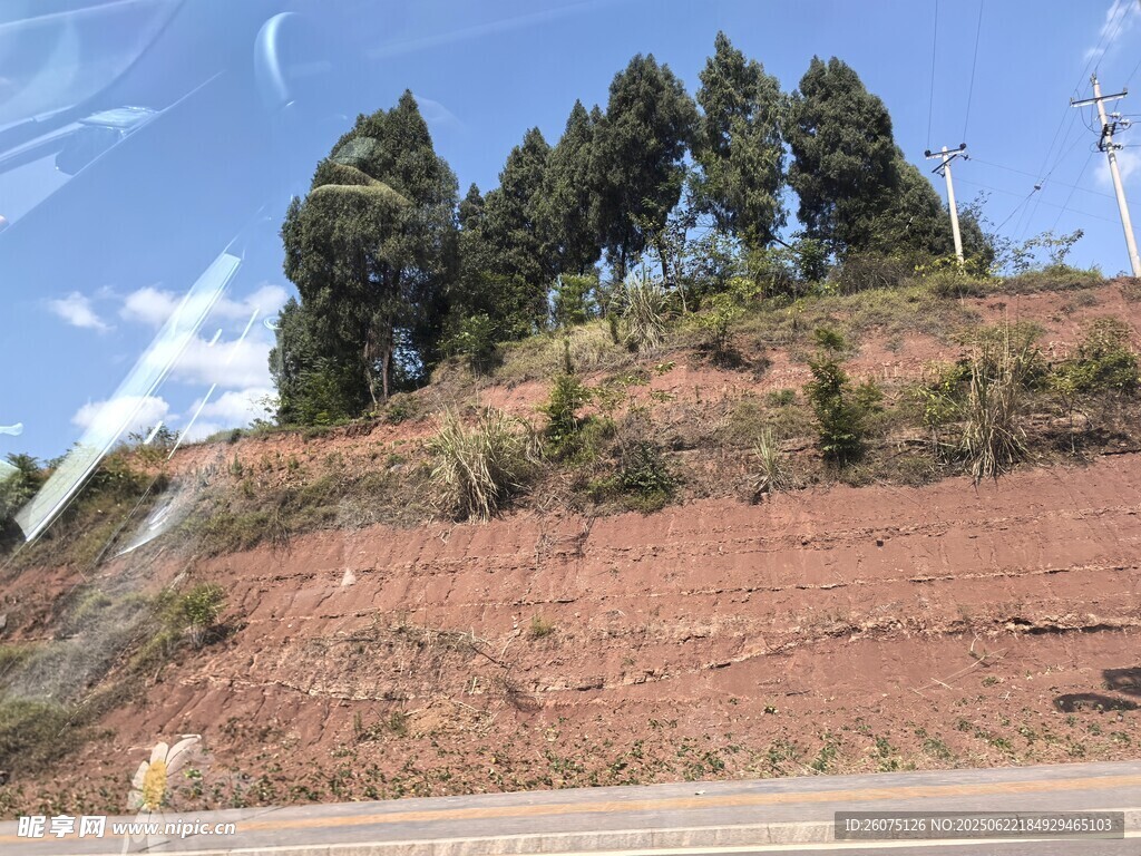 山坡上的树木与红土地
